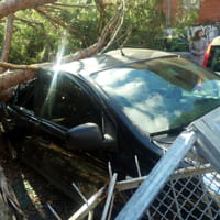 maltempo-a-roma-alberi-caduti-ed-auto-distrutte-5